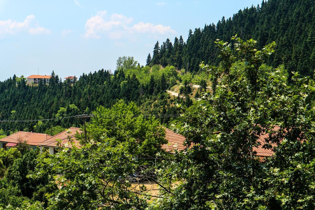 Hotel Elatofilito Athamanio 外观 照片