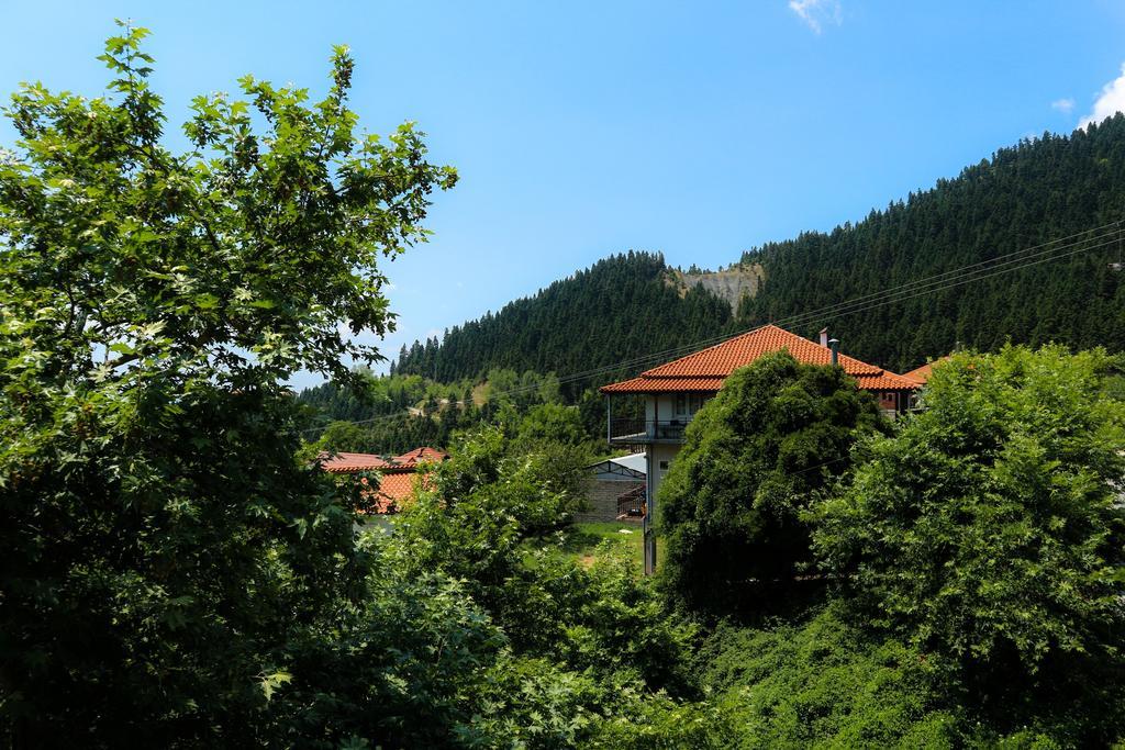 Hotel Elatofilito Athamanio 外观 照片